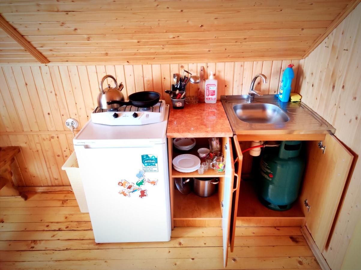 Cottage Panorama Karpat Volosyanka  Bagian luar foto